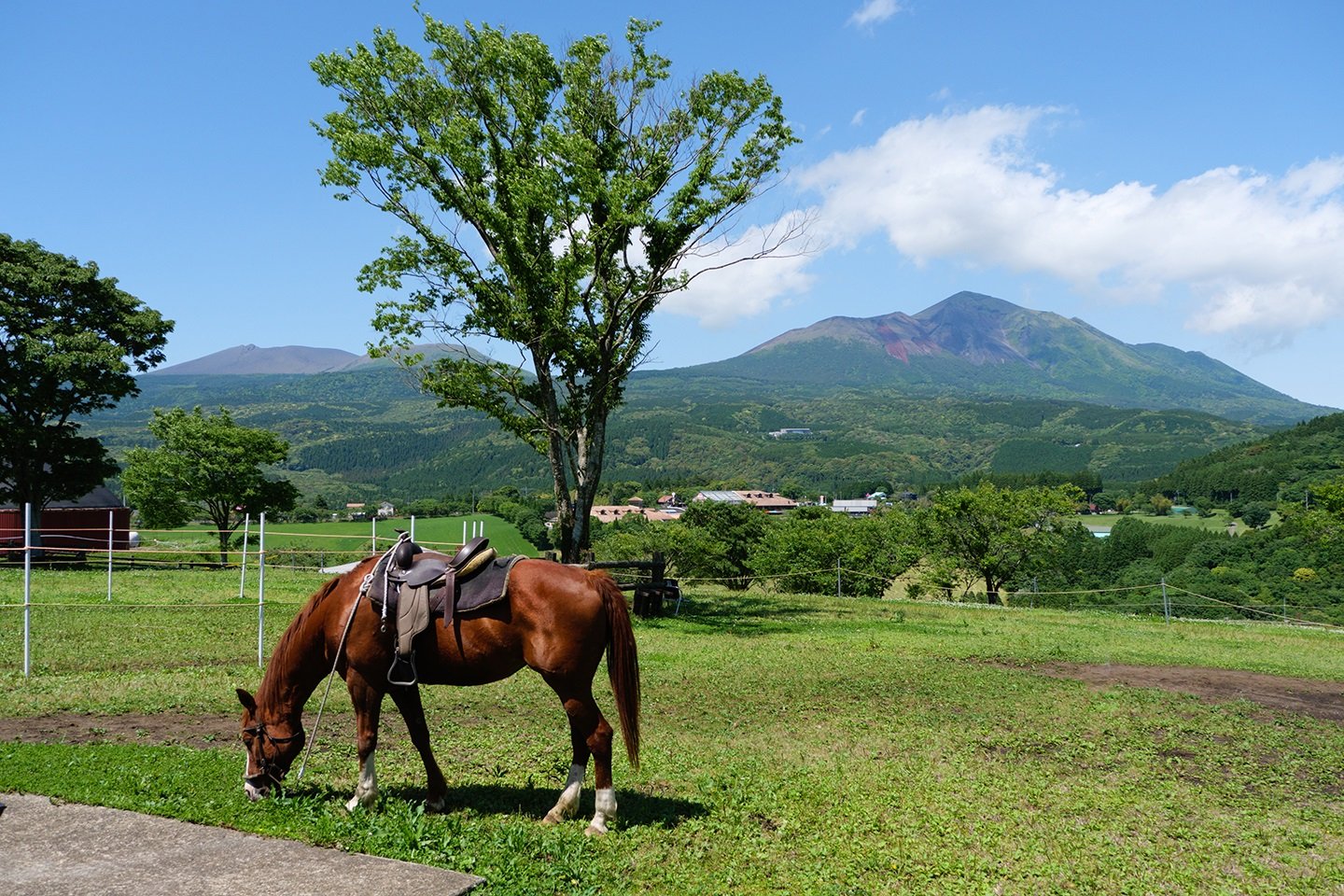 🏞️ 타카치호 목장(高千穂牧場) 이미지 1